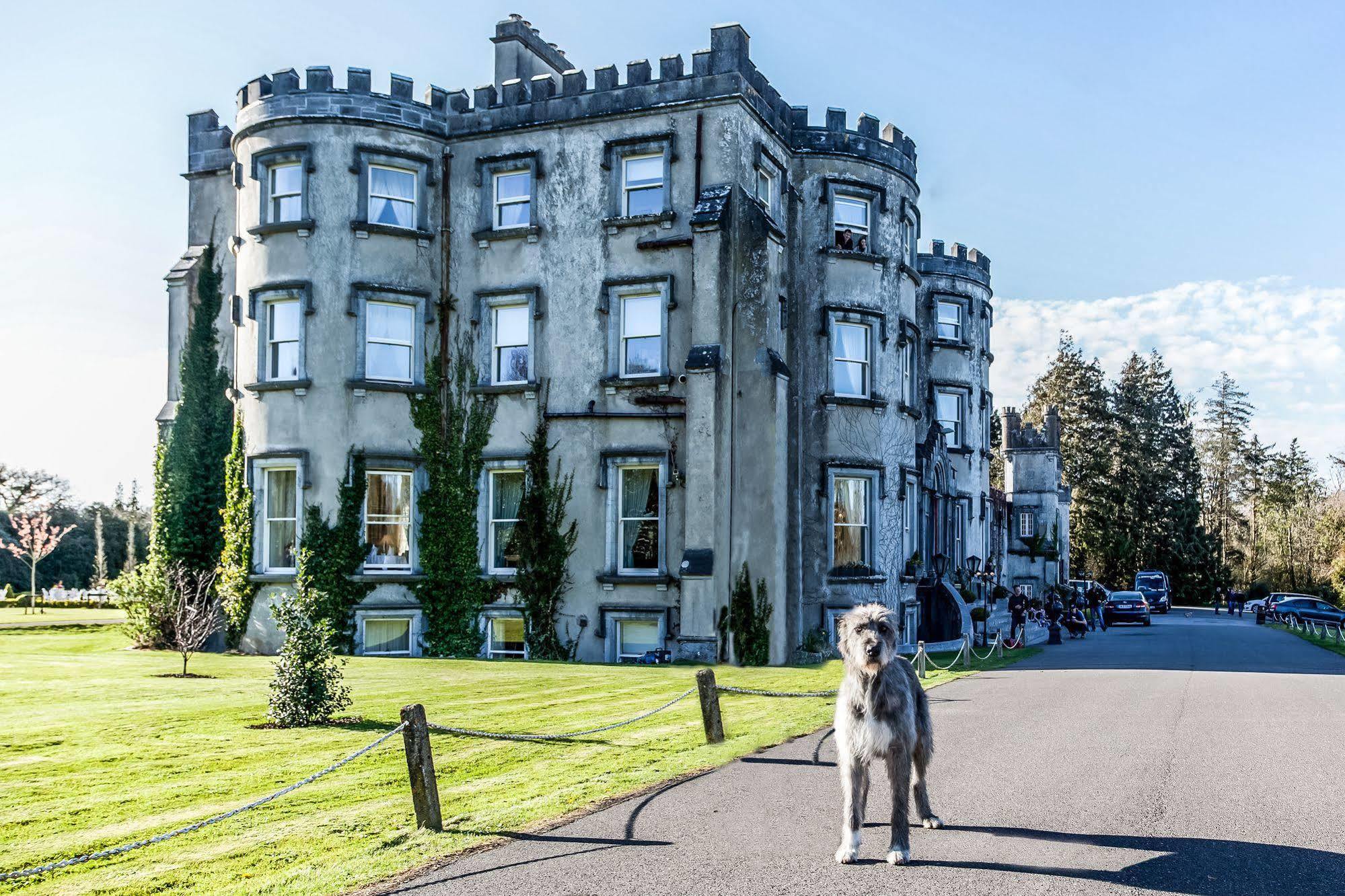 Ballyseede Castle Tralee Exteriér fotografie